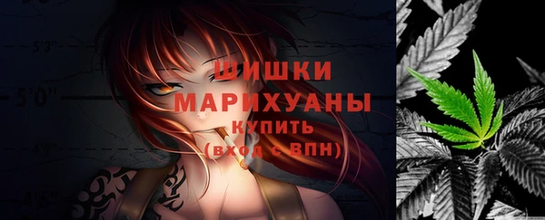PSILOCYBIN Каменногорск