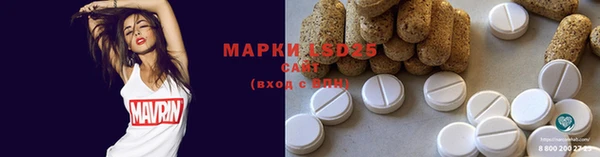 PSILOCYBIN Каменногорск