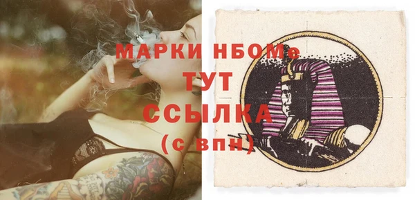 PSILOCYBIN Каменногорск